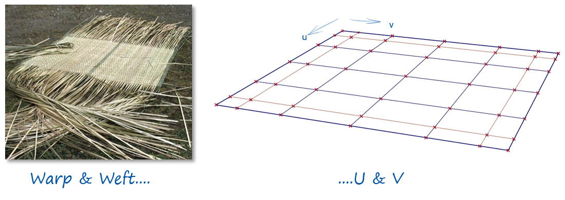 Illustration of the Two Directions on a Surface