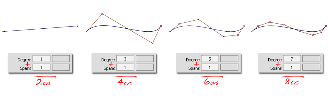 Increasing the degree by one increases the number of CVs by one